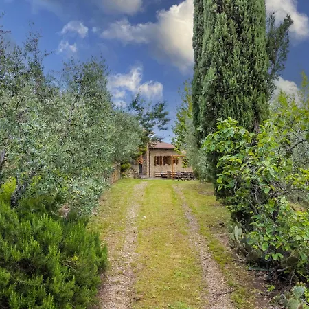 Tegliaia By Interhome Holiday home Starda